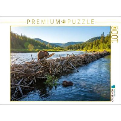 CALVENDO Puzzle Verbesserungen sind immer nötig - Biber am Staudamm | 1000 Teile Lege-Größe 64x48cm Foto-Puzzle für glückliche Stunden