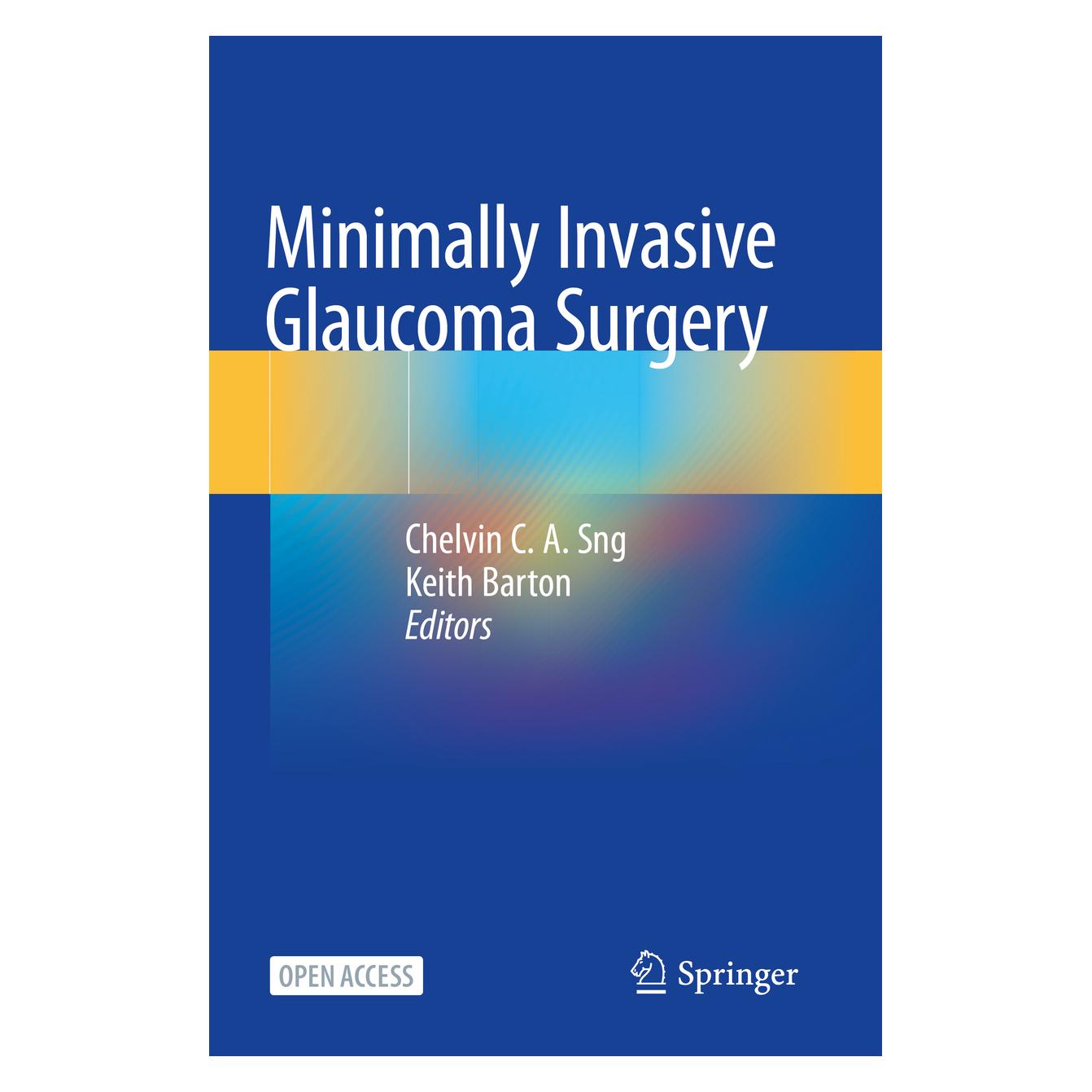 Springer Minimally Invasive Glaucoma Surgery (Englisch, Softcover, Chelvin C. A. Sng, Keith Barton) (56217099)