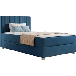 BOXBETT Viki - H3