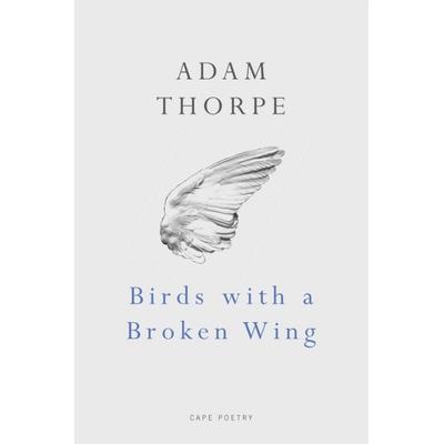 Birds With A Broken Wing, Taschenbuch von Adam Thorpe, Vermilion, 978-0-224-07944-0