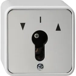 Gira 014430 Schlüsselschalter 2-p WG AP Grau