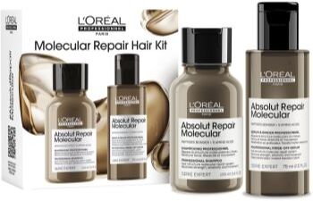 L’Oréal Professionnel Serie Expert Absolut Repair Molecular coffret para cabelo danificado . Serie Expert Absolut Repair Molecular