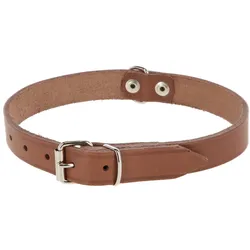 Kerbl Halsband Mexica (Hund), Halsband + Leine
