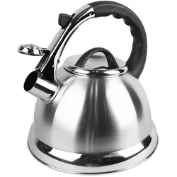 Maestro Feel-Maestro MR-MR-1328 Wasserkocher, Wasserkocher, Schwarz, Silber