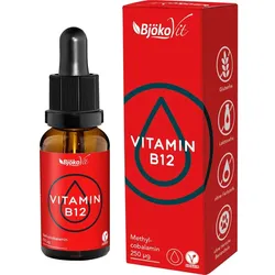 Vitamin B12 Vegan Tropfen Methylcobalamin 30 ML