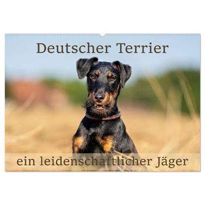 Deutscher Terrier - ein leidenschaftlicher Jäger (Wandkalender 2026 DIN A2 quer), CALVENDO Monatskalender