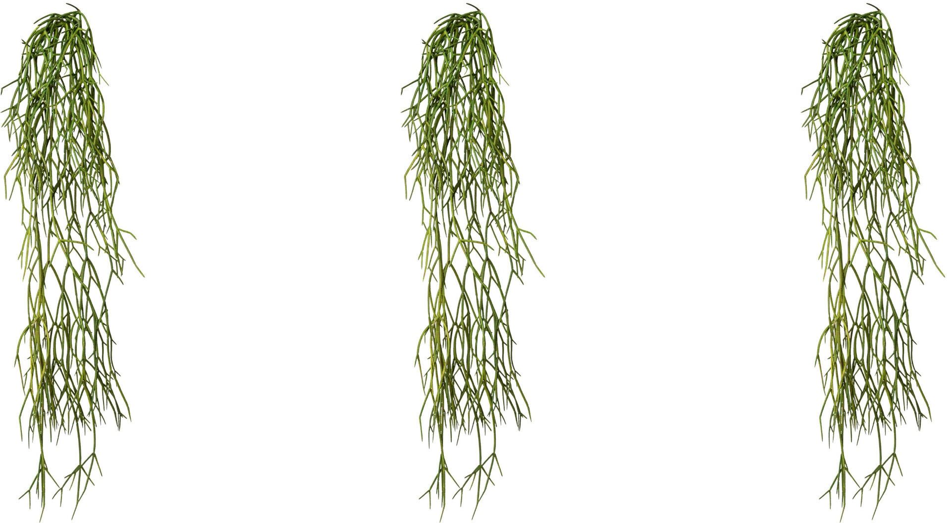 Kunstranke CREATIV GREEN "Rhipsalis-Hänger", grün, H:61cm, Obermaterial: 100% Polyethylen, Kunstpflanzen, Kunstranke