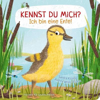 Kennst du mich? Ich bin eine Ente!, Gebundene Ausgabe von Andrea Weller-Essers, Fischer Sauerländer, 978-3-7373-7385-2