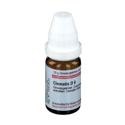 Clematis D 6 Globuli 10 g