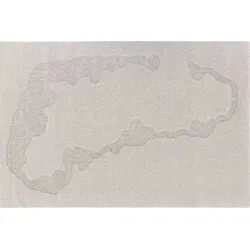 TEPGO Wollteppich Oase hellgrau 240x340 cm