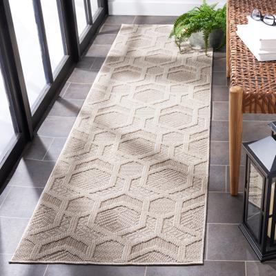SAFAVIEH Global Sniazhana Indoor/ Outdoor Modern Rug