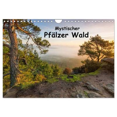Mystischer Pfälzer Wald (Wandkalender 2027 DIN A4 quer), CALVENDO Monatskalender
