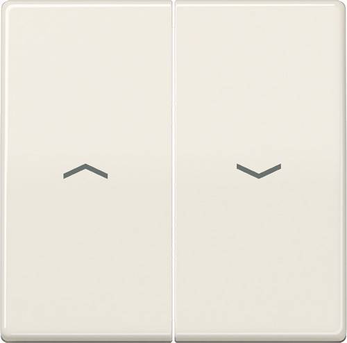 Jung Wippe Symbole ws AS 591-5 P