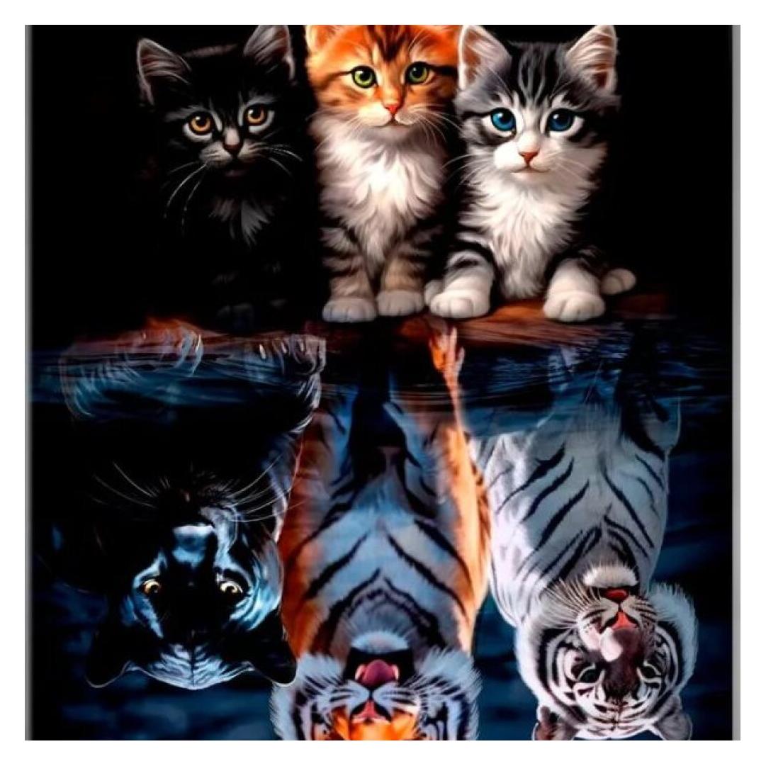 Norimpex Diamantov kleine Katze und Biest 30x40cm (2003125)