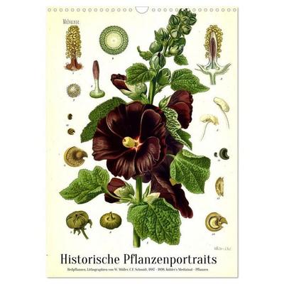 Historische Pflanzenportraits - Heilpflanzen Lithographien von W. Müller (Wandkalender 2027 DIN A3 hoch), CALVENDO Monatskalender