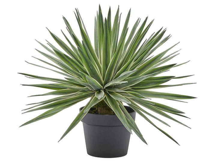 Kunstpflanze Agave im Topf H: 45 cm Edg