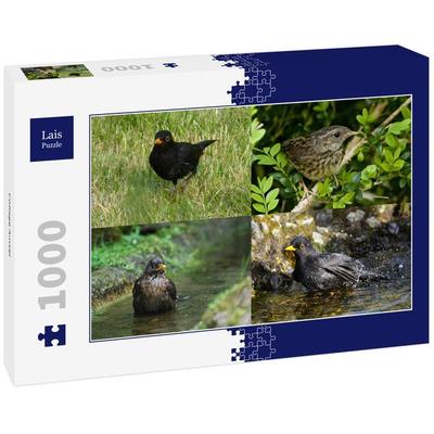 Lais Puzzle Collage Amsel 1000 Teile