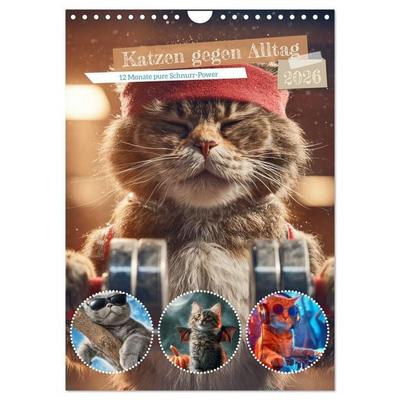 Katzen gegen Alltag (Wandkalender 2026 DIN A4 hoch), CALVENDO Monatskalender