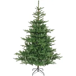 Everlands Tanne H=180cm - grün