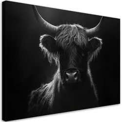 WANDBILD schottische kuh schwarz und weiß