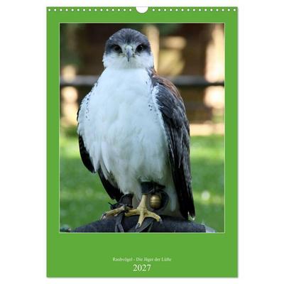 Raubvögel - Die Jäger der Lüfte (Wandkalender 2027 DIN A3 hoch), CALVENDO Monatskalender