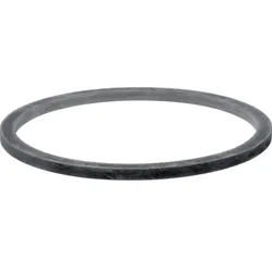 Geberit Quetschdichtung 887371001