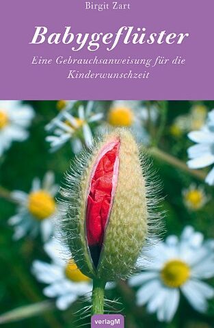 Birgit Zart - Babygeflüster Eine Gebrauchsanweisung für die Kinderwunschzeit - Preis vom 30.09.2026 09:01:18 h