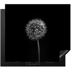 HERDABDECKPLATTE Löwenzahn - Schwarz - Floral - Botanisch Abdeckung Glaskeramikkochfeld 58.3x51.3 cm