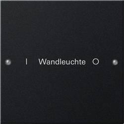 GIRA Wippe Schwarz 2201005 1 St.