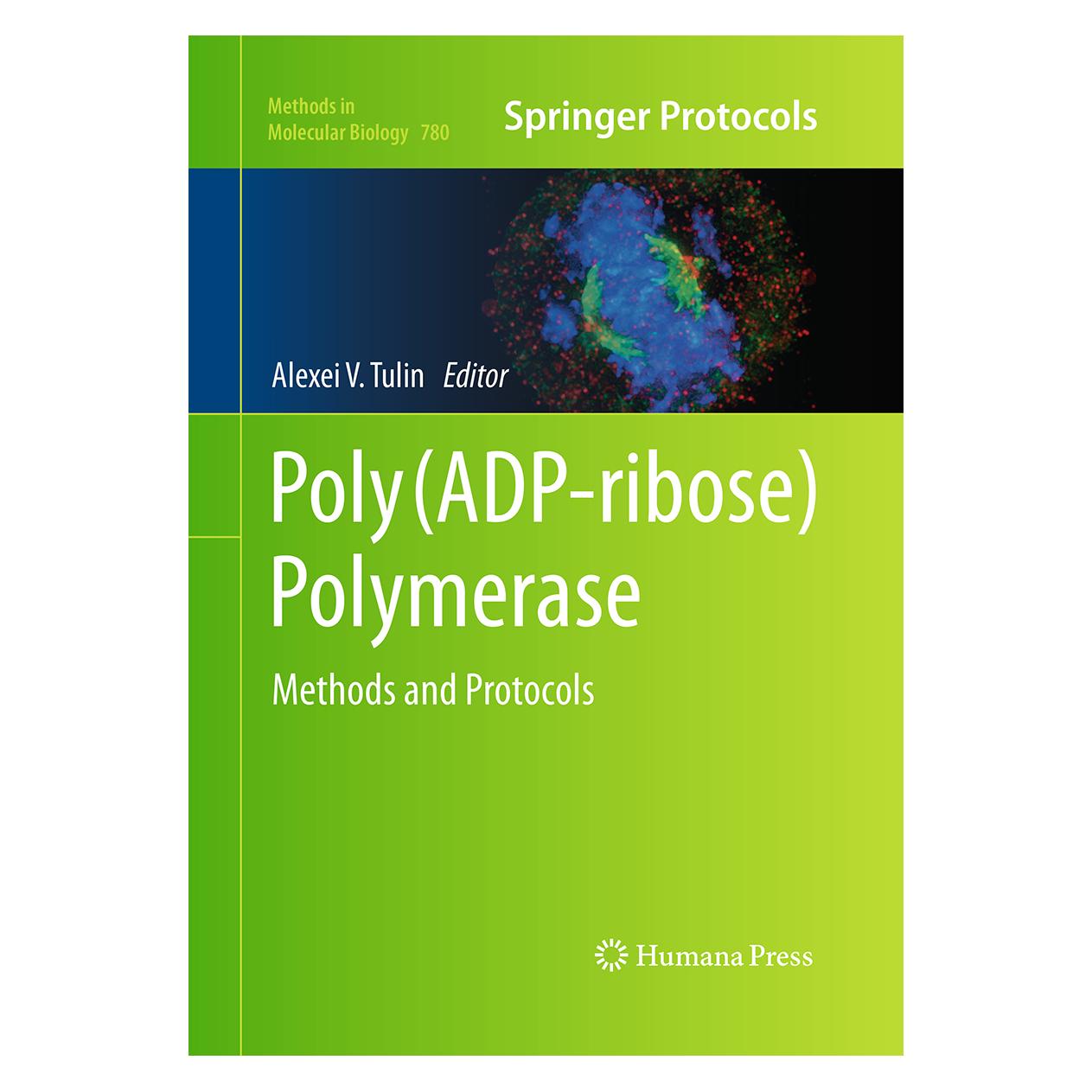 Springer Poly(ADP-ribose) Polymerase (Englisch, Softcover, Alexei V Tulin) (55964966)