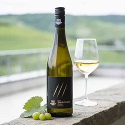 Weingut Bergdolt-Reif & Nett 2022 Bergdolt-Reif und Nett Grauburgunder Tradition 2022 Grauburgunder Deutschland