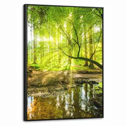 LEINWAND Bilder mit Rahmen - Wald - Landschaft - Wasser - Bäume - Sonne - Grün - Natur - 70x100