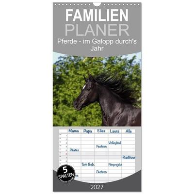Familienplaner 2027 - Pferde - im Galopp durch's Jahr mit 5 Spalten (Wandkalender, 21 x 45 cm) CALVENDO