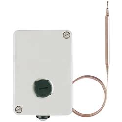Jumo 60001136 2-Punkt-Regler Temperaturbegrenzer 135 °C (max.) Relais 10 A