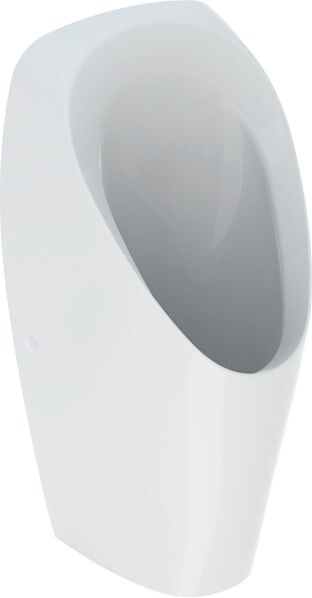 Urinoir Geberit 116141001 sans eau, blanc