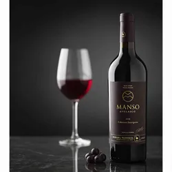 Torres 2019 Torres Manso de Velasco Cabernet Sauvignon 2019 Cabernet Sauvignon Chile