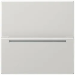 Jung LSCARDRFIDLG Hotelcard-Schalter RFID, Thermoplast, Serie LS, lichtgrau LS CARD RFID LG