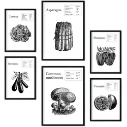POSTER Set Mit 6 Gemüse Sammlung A3 & A4 Schwarzer Rahmen