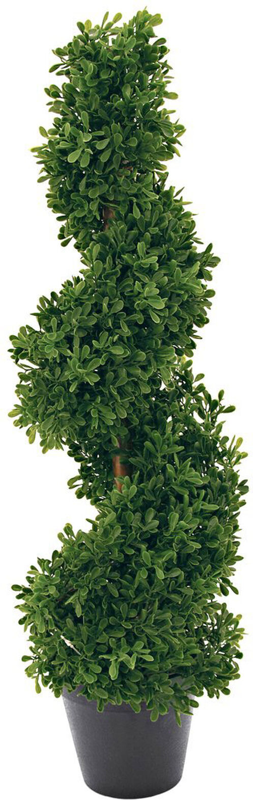 Europalms Spiralbaum, 61cm