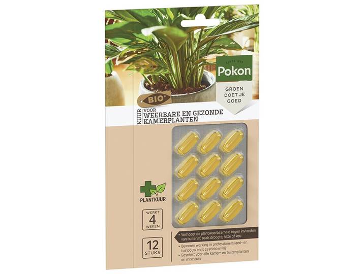 Pokon Bio kuur voor weerbare en gezonde kamerplanten capsules