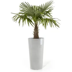 Ecopots, Blumentopf, Amsterdam hoch (41.50 x 76.80 cm)