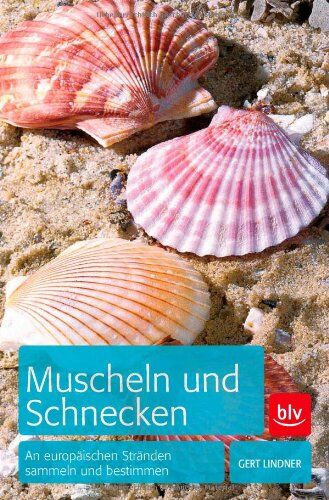 Gert Lindner - Muscheln und Schnecken: An europäischen Stränden sammeln und bestimmen - Preis vom 06.10.2026 07:26:00 h