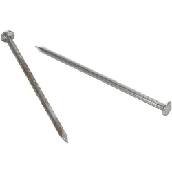 Schweizerische Nagelfabrik, Nägel, Stifte mit Flachkopf (40 mm)