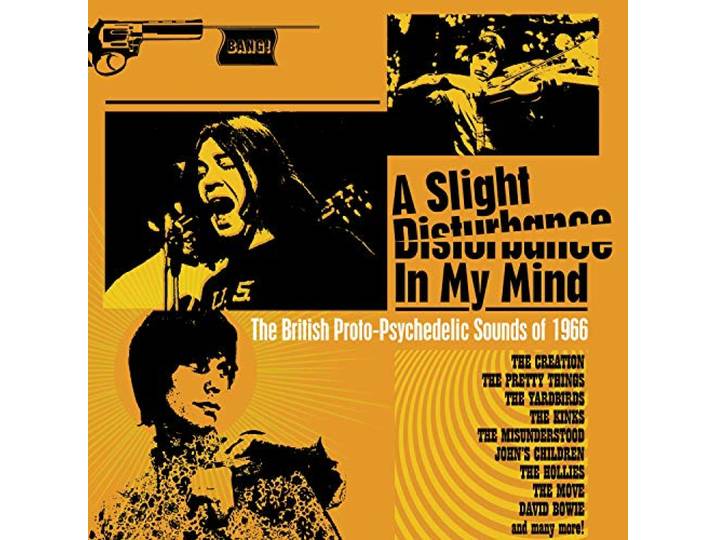 Various - A Slight Disturbance In My Mind