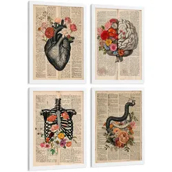POSTER Set aus 4 Anatomie Drucke und Wandbilder mit Herz Gehirn Skelett und Darm Antiker Hintergrund Wanddekoration Größe Weißer Rahmen A3