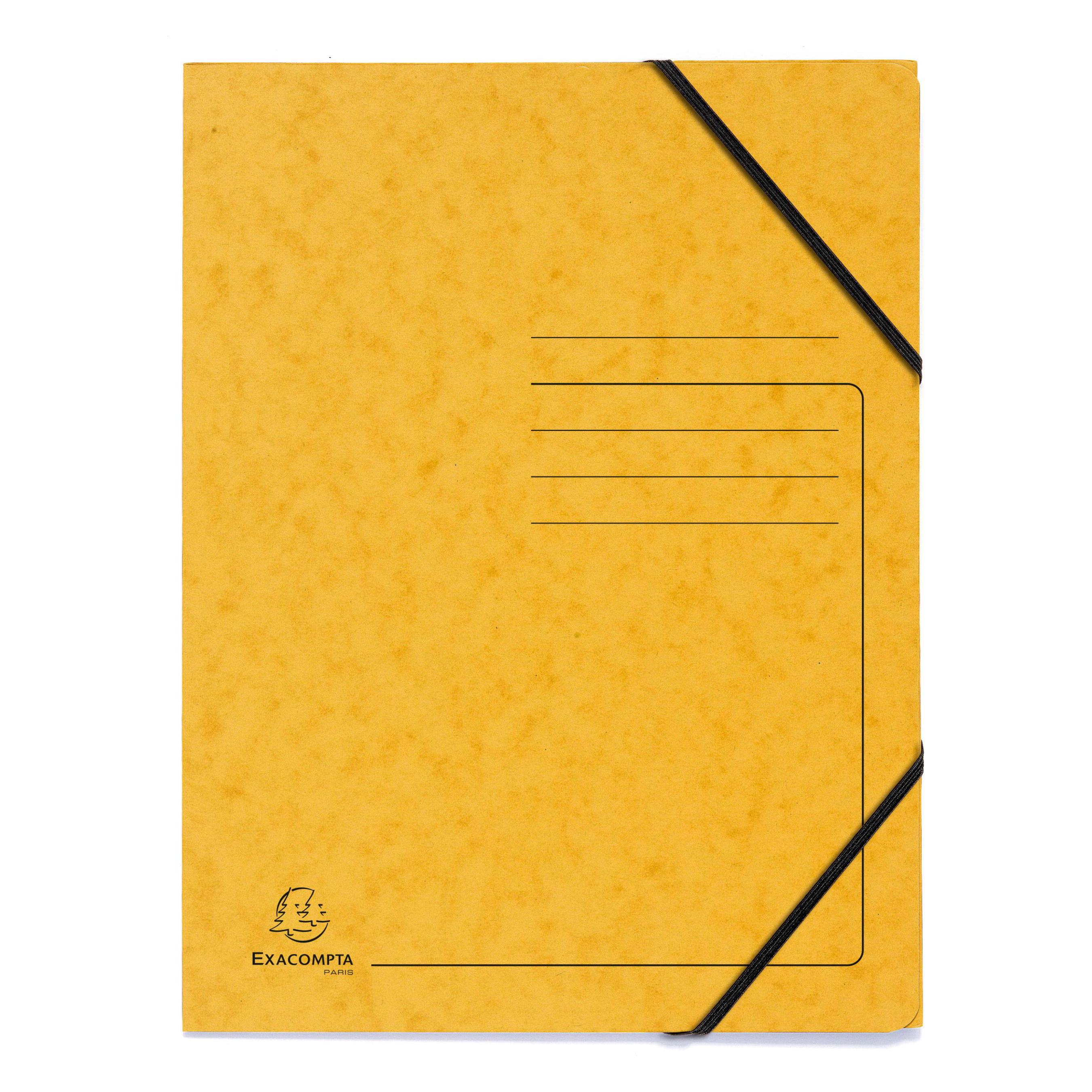 Exacompta Sammelmappe mit Gummizug (A4) (555419E)