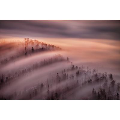 Fototapete PAPERMOON "Photo-Art PETER SVOBODA MQEP, FLUT", bunt, B:3,5m L:2,6m, Vlies, Tapeten