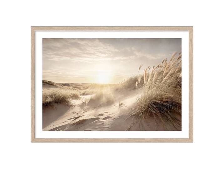 Tableau Dune Grass At Sunrise Panneau de fibres de bois à densité moyenne MDF , pelliculé Jaune/Beige/Marron 105 x 75 x 3cm
