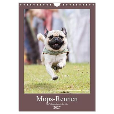 Mops-Rennen (Wandkalender 2027 DIN A4 hoch), CALVENDO Monatskalender