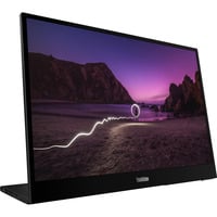 ThinkVision M16, LED-Monitor 40.6 cm (16 Zoll), schwarz, WUXGA, IPS, USB-C